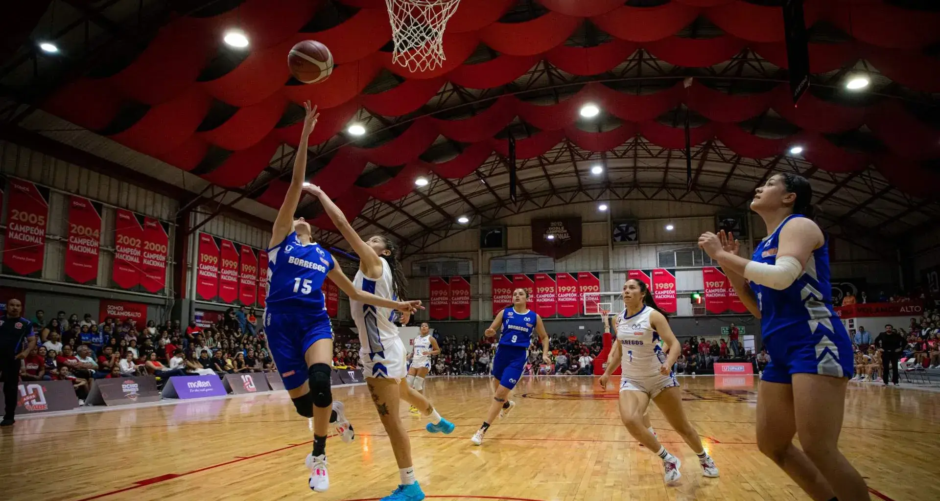 Las Borregas Monterrey logró el primer campeonato en la era de la Coach Sandra Rosales.