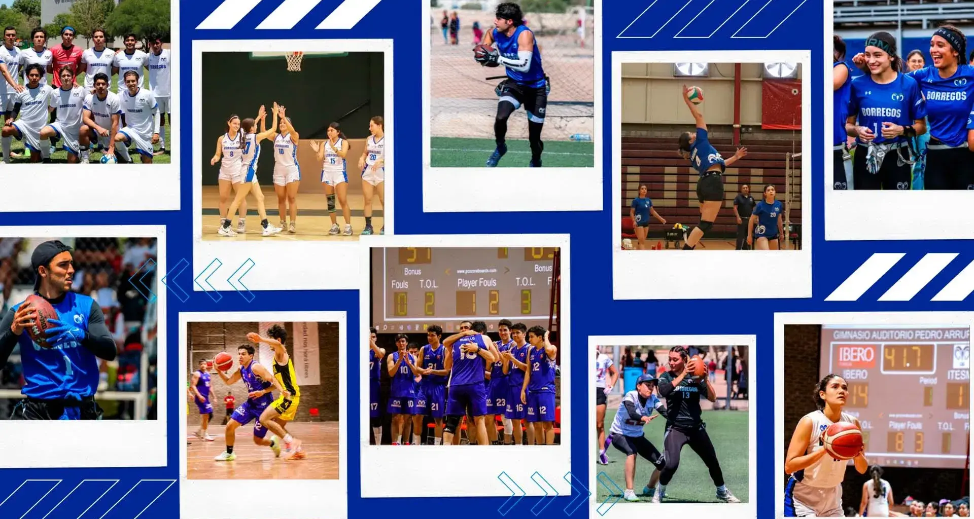 borregos laguna tuvo una consiguió títulos en varias disciplinas