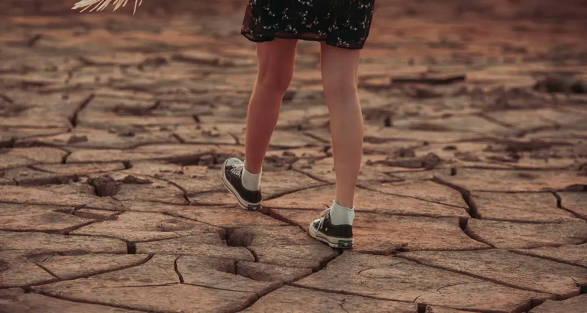 Huella de carbono, laboratorio de sostenibilidad y cambio climático del Tec invita a encuentro para debatir.