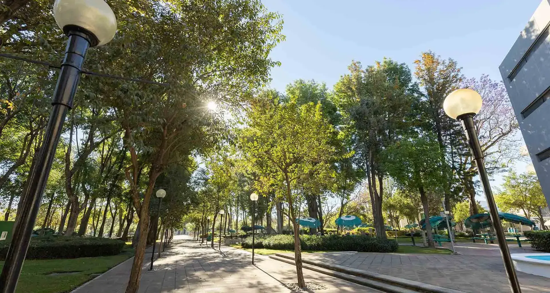 Acciones sostenibles en el Tec Guadalajara. 