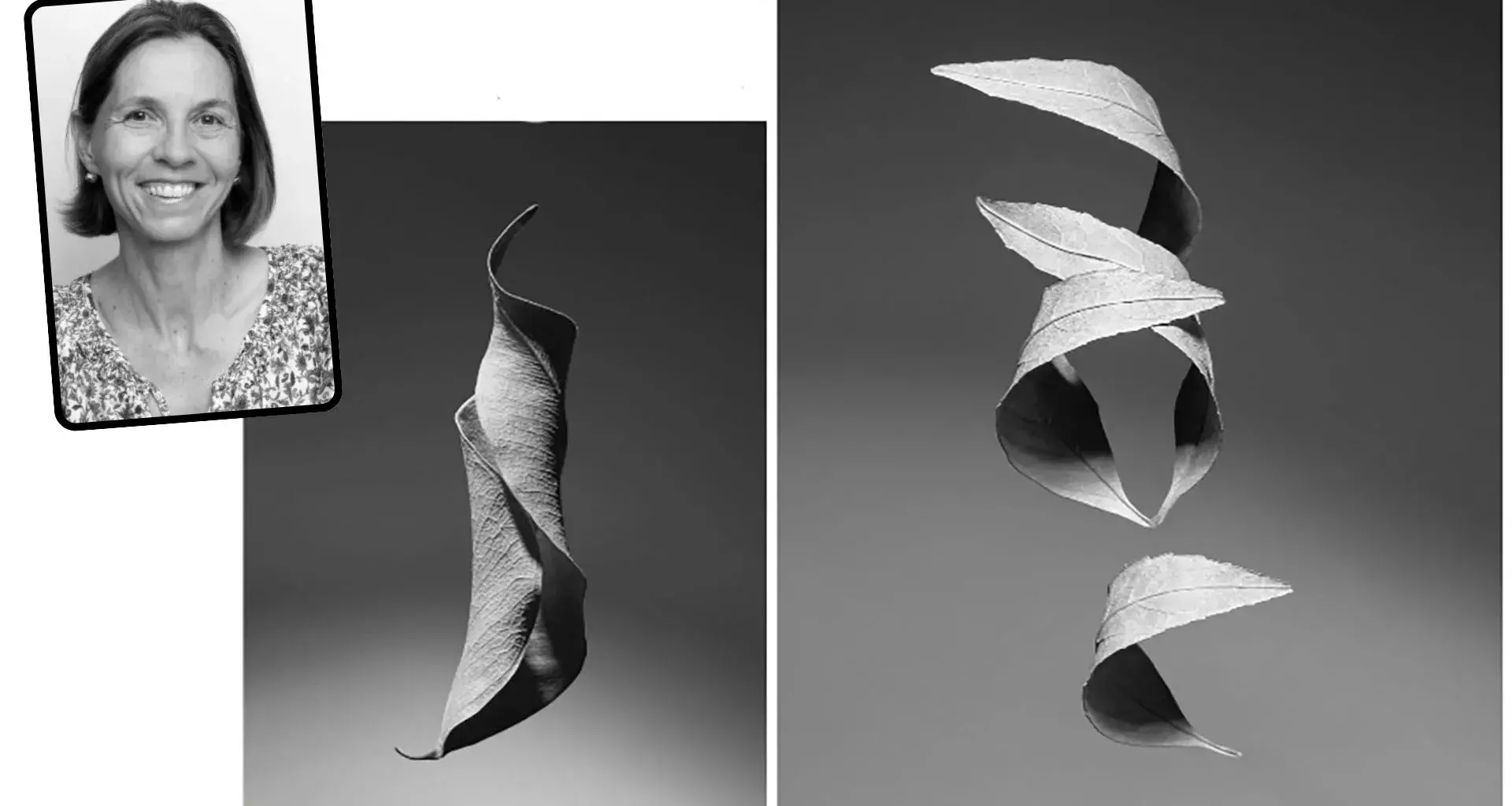 Profesora del Tec Campus Qro gana premio internacional de fotografía