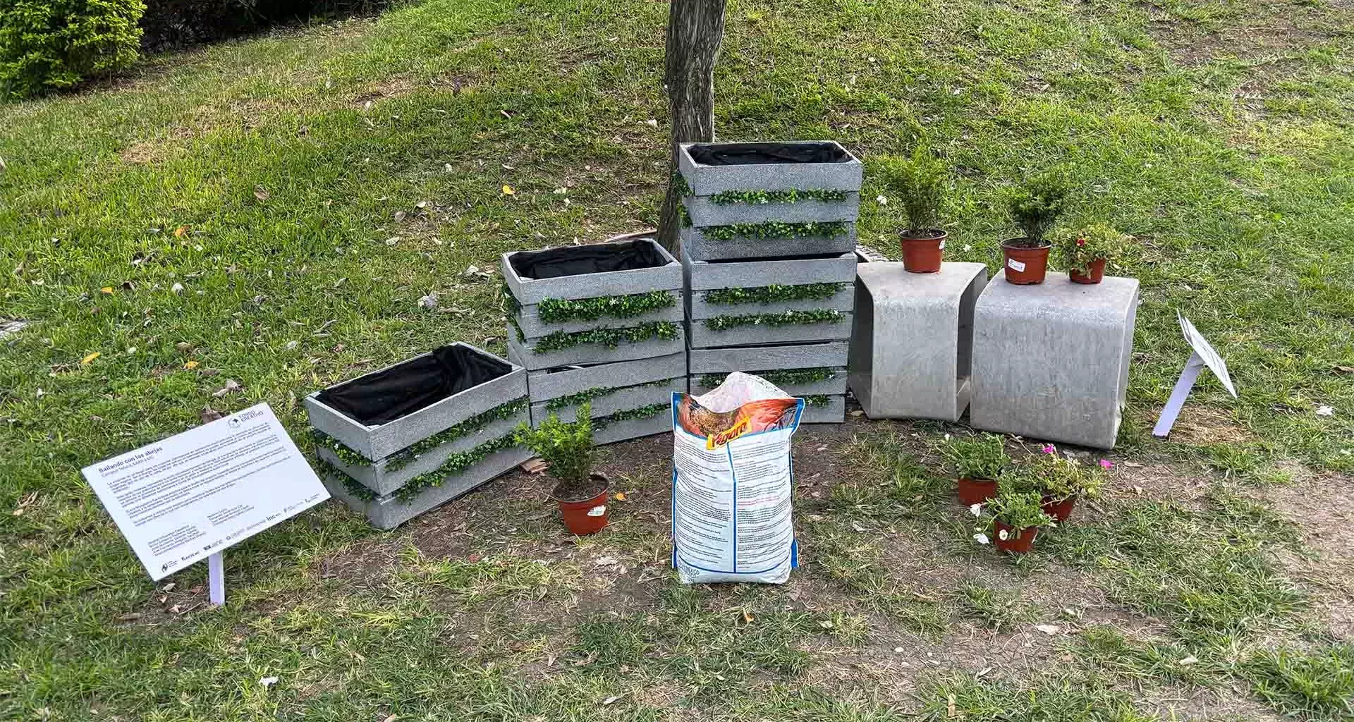 Bailando con las abejas: el jardín con IA creado por alumnos Tec