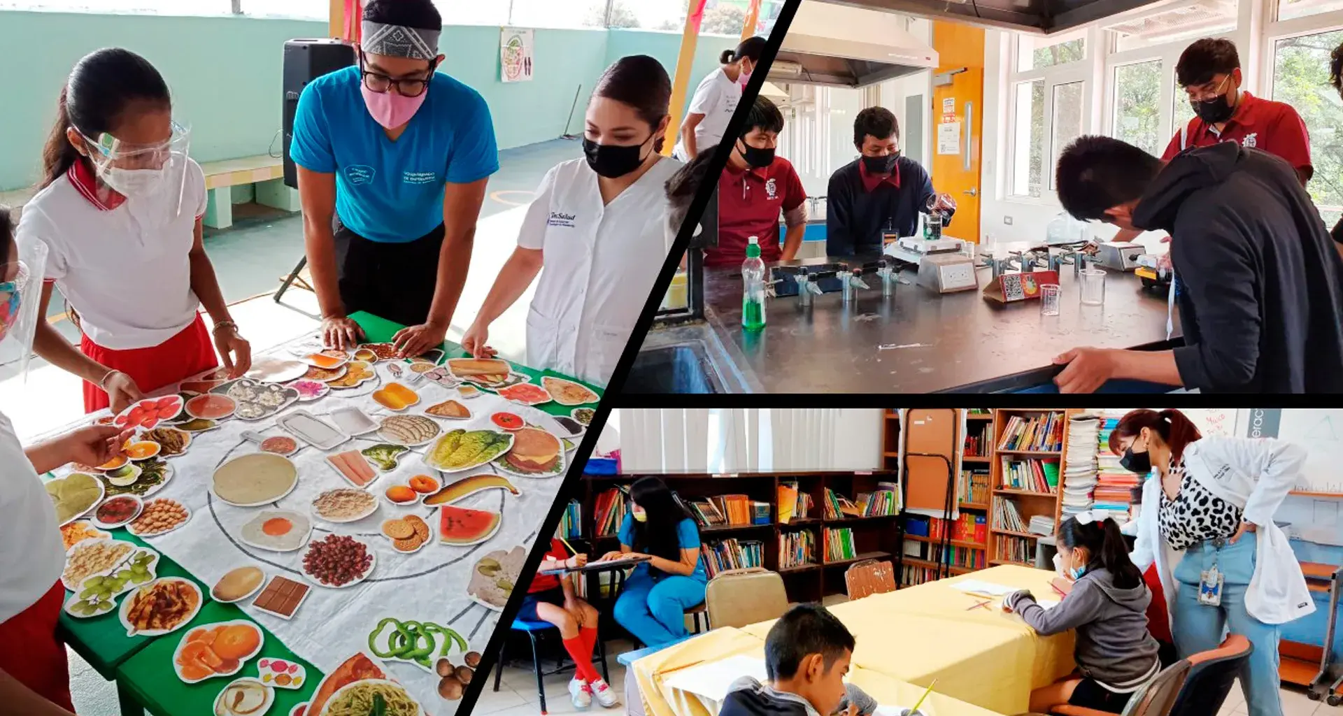 Programa de Gestión Educativa, distritotec.