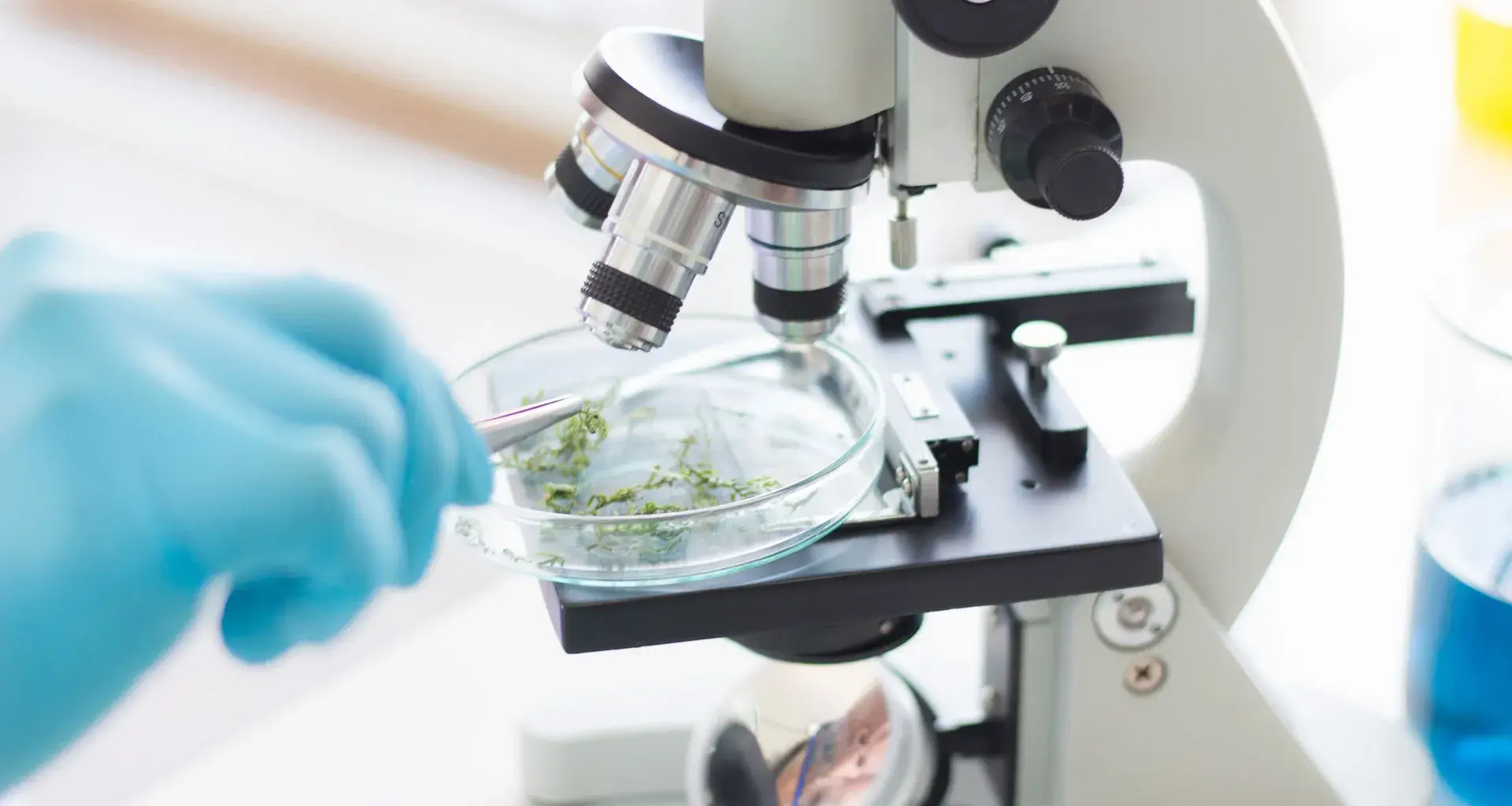 The startup transforming plants into compounds arrives in Tokyo