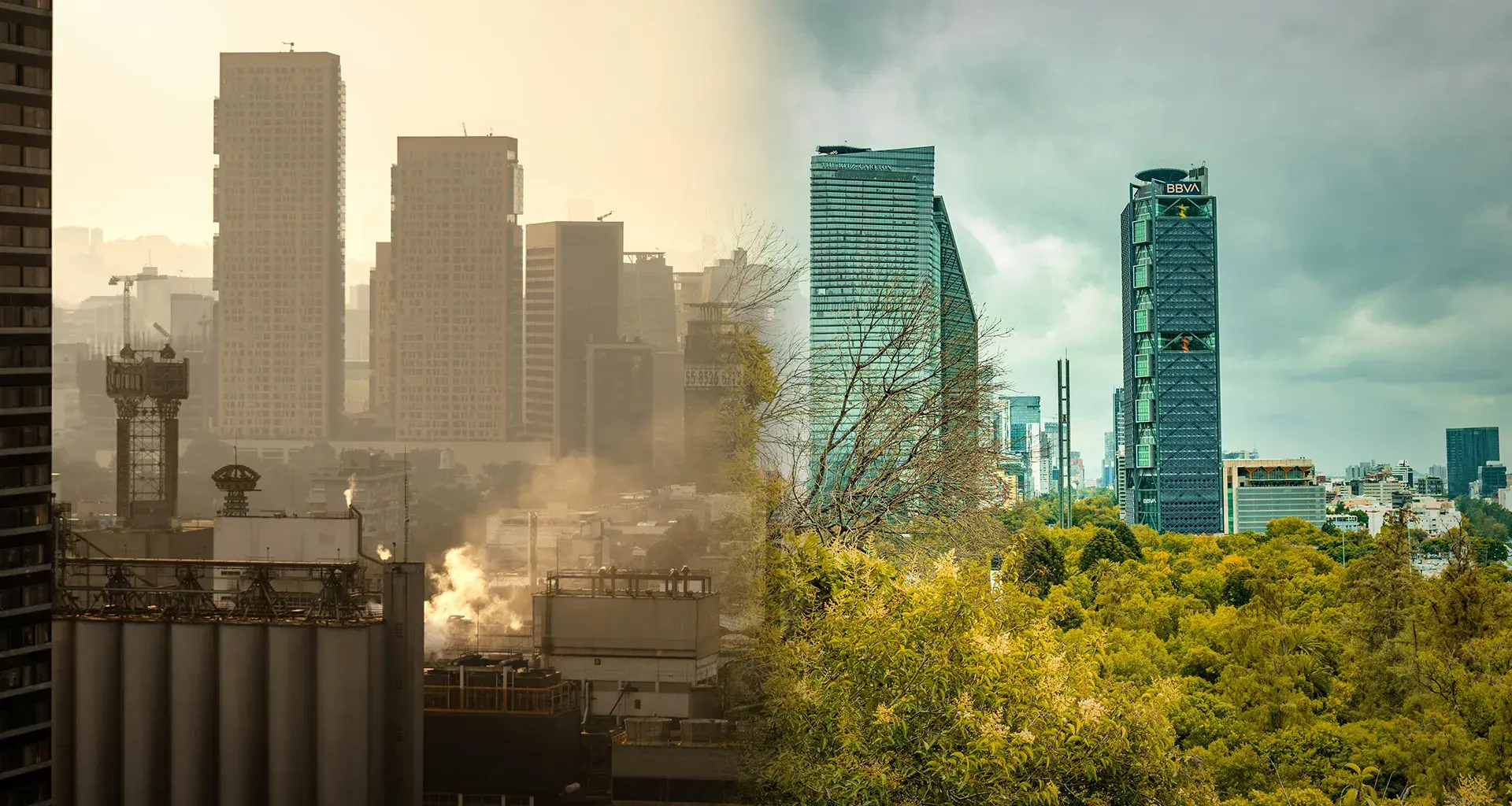 cambio climático