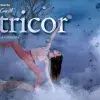 Petricor Dance Concert