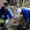 Alumnos de Prepa Tec construyen Jardines Polinizadores
