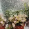 Alumnos del Tec en Santa Fe crearon dispositivo que busca aprovechar humedad ambiental para cosechar agua
