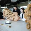 Futuro de la arquitectura en Bienal de Venecia, en el que participaron estudiantes del Tec Guadalajara. 