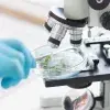 The startup transforming plants into compounds arrives in Tokyo