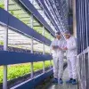 Tec Qro fosters innovation links between agriculture in Mexico and UK