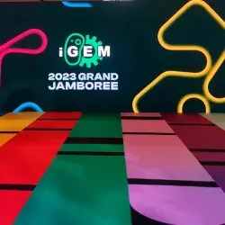 Gold: Tec students detect pollutants and win global competition