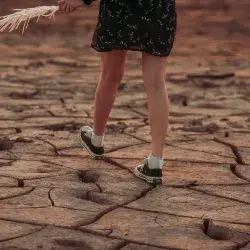 Huella de carbono, laboratorio de sostenibilidad y cambio climático del Tec invita a encuentro para debatir.