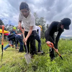 alumnos Tec CCM crean soluciones verdes