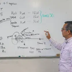 Professor evaluated by laureate for combining programming with health! 