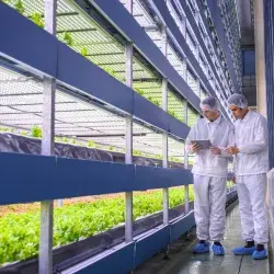 Tec Qro fosters innovation links between agriculture in Mexico and UK