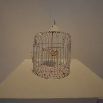 Exhibición "Caras y Sombras de Latinoamérica"