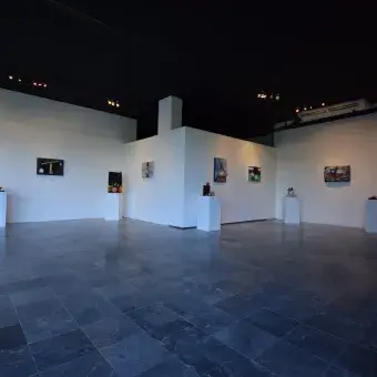 Exhibición "Caras y Sombras de Latinoamérica"
