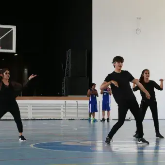 Demostración artística