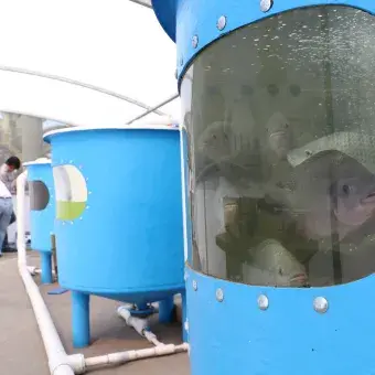 Investigadores del Tec