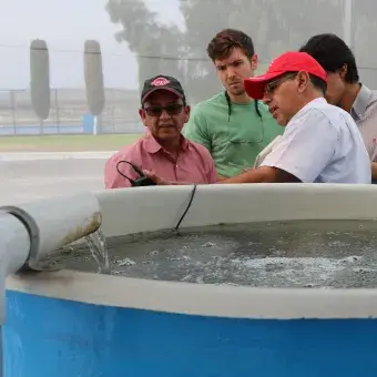 Investigadores del Tec