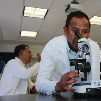 Investigadores del Tec