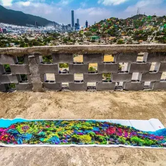 En el proyecto COLOSAL trabajaron juntos Gobierno, universidades, empresas privadas y la comunidad.