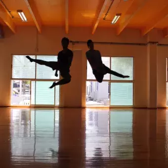 Danza con Causa 4