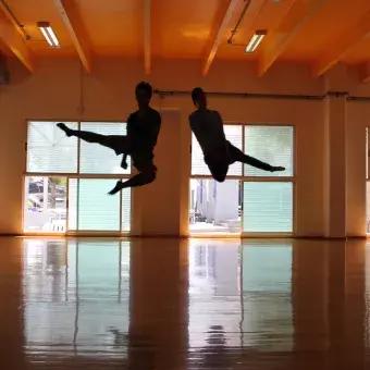 Danza con Causa 4