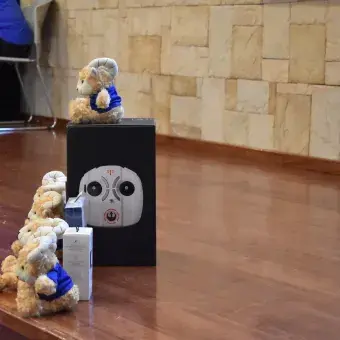 Borregos de Ironmath y Wordbusters