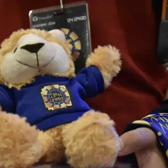 Borrego con la camiseta de Ironmath