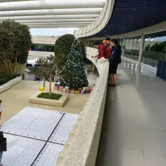 Reto de matemáticas en el rally