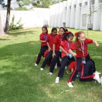 Borrego desde Pequeño 2019