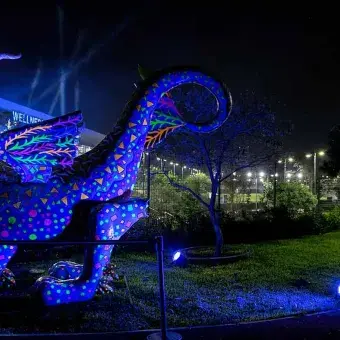 Grandes reflectores sobre los alebrijes en campus Monterrey