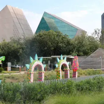 Los alrededores del campus se llenaron de colorido.