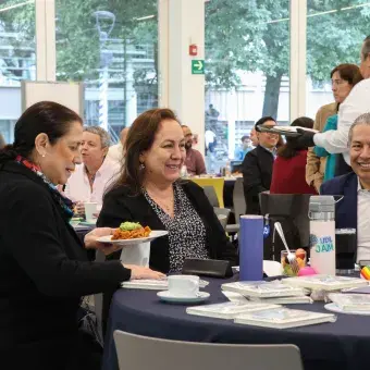 Actividades de reflexión