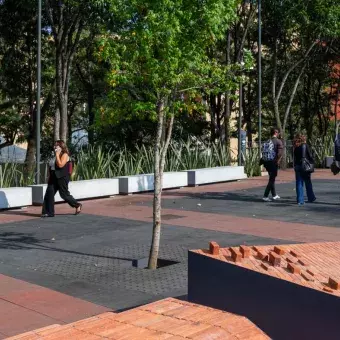 Al aire libre: alumnos tec estrenan espacio de convivencia en Tec CSF