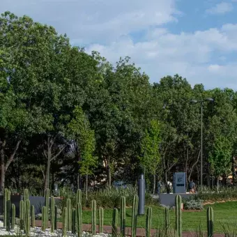 Al aire libre: alumnos tec estrenan espacio de convivencia en Tec CSF