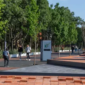 Al aire libre: alumnos tec estrenan espacio de convivencia en Tec CSF