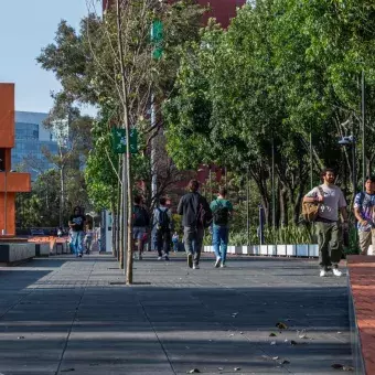 Al aire libre: alumnos tec estrenan espacio de convivencia en Tec CSF