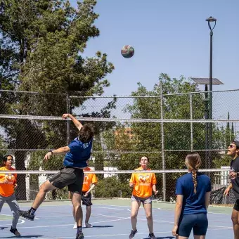 patido-de-volley