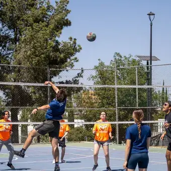 patido-de-volley