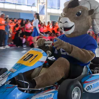 teus-en-kart